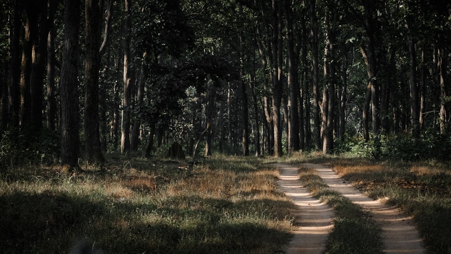 Photo website visitor paths