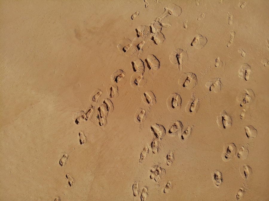 Photo visitor tracking